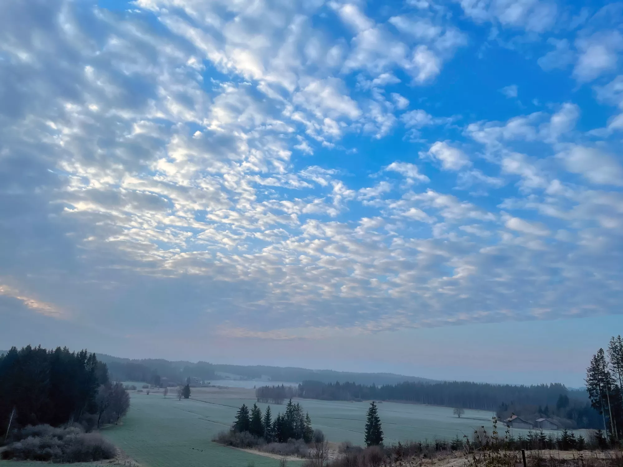 Elbsee im Allgäu, klare Farben und feine Spiegelungen im Abend‑ oder Morgenlicht.