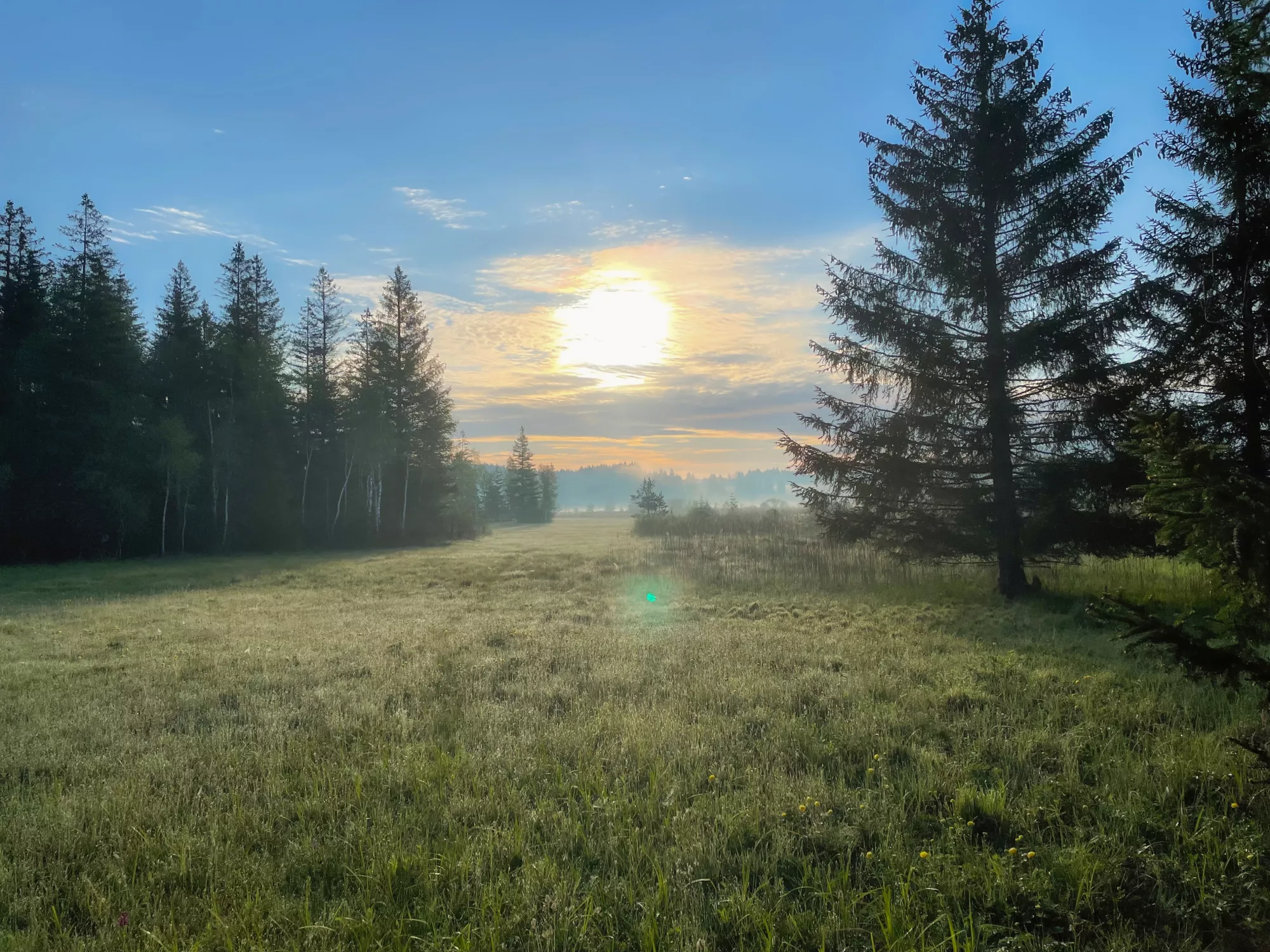 Elbsee Landschaft in Aitrang