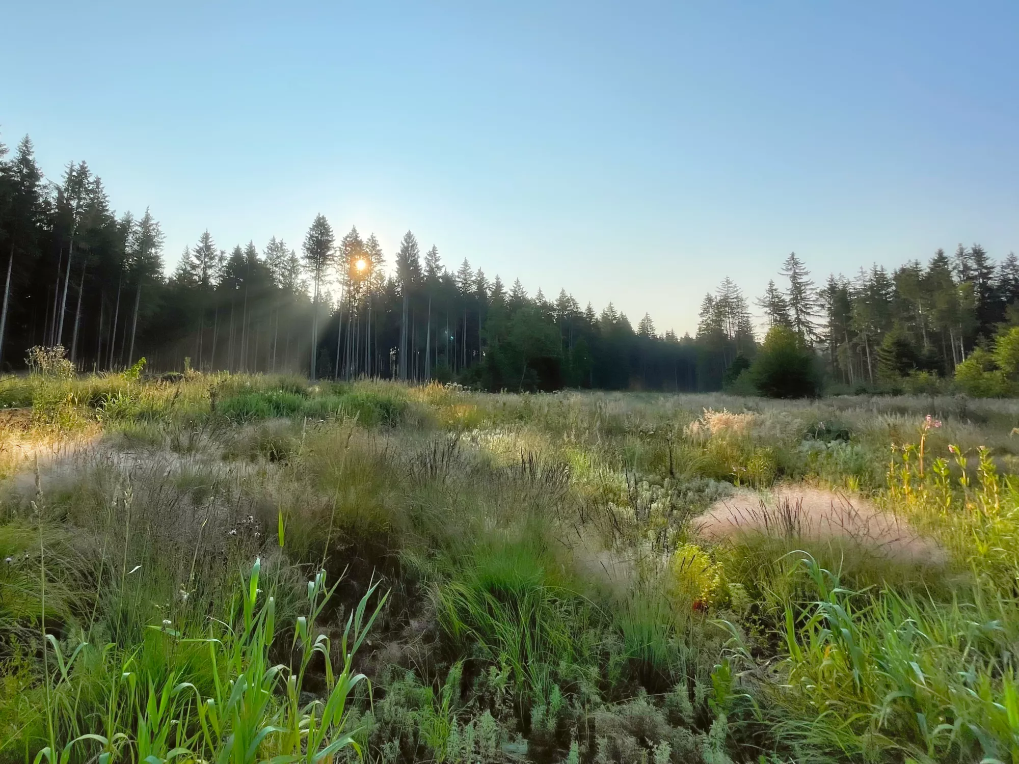 Elbsee Landschaft in Aitrang
