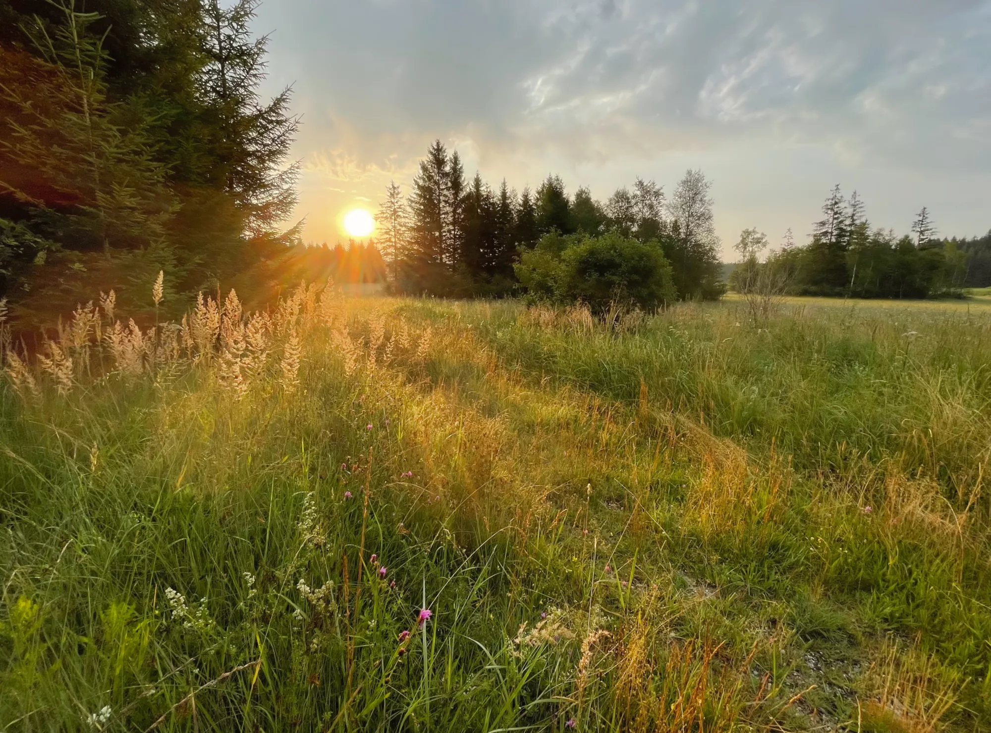 Elbsee Landschaft in Aitrang