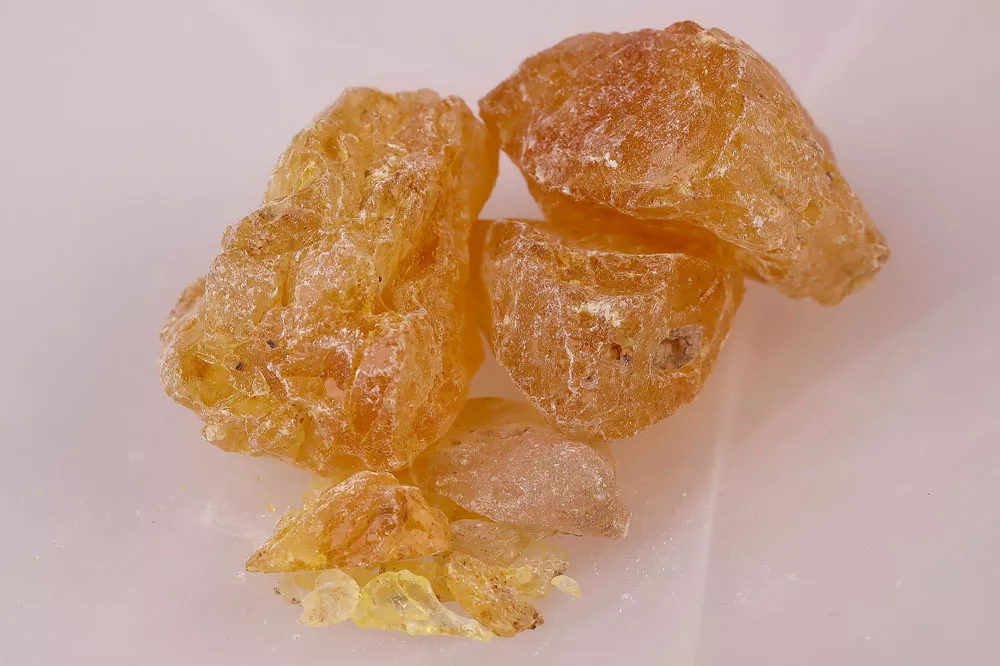 Gummi Copal golden