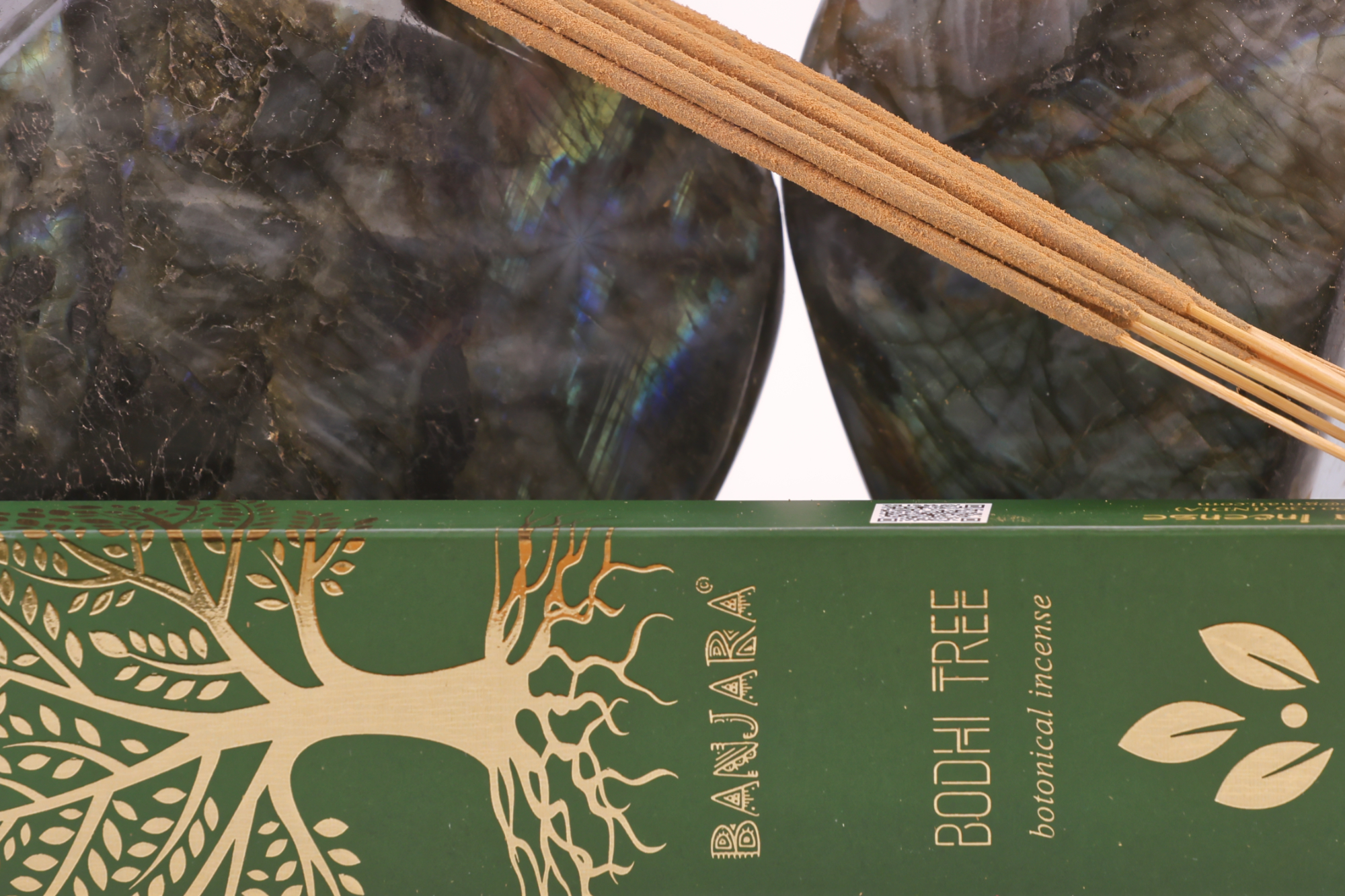 Bodhi_Tree1.jpg