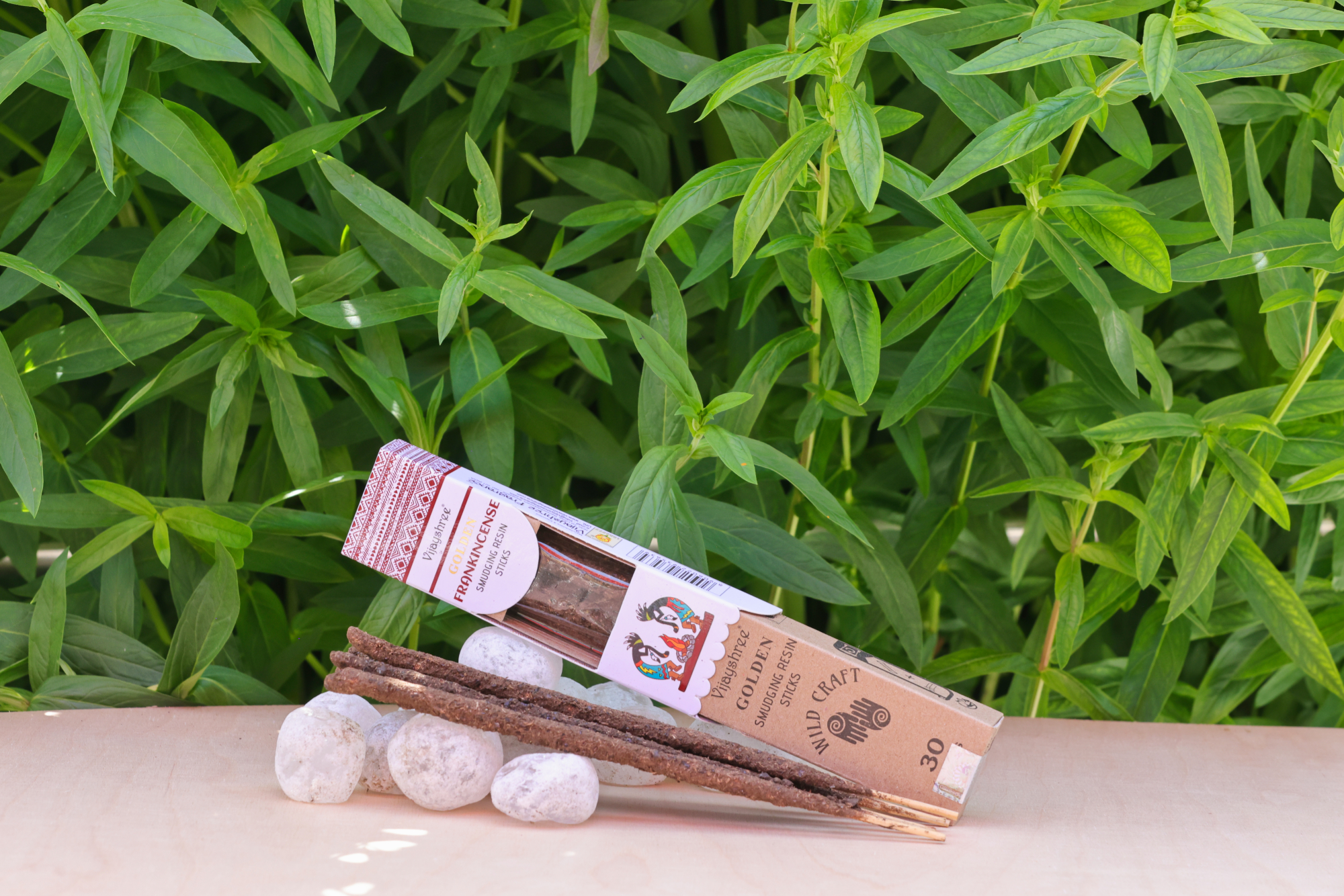 Golden_Frankincense_1_20250726103934.jpg