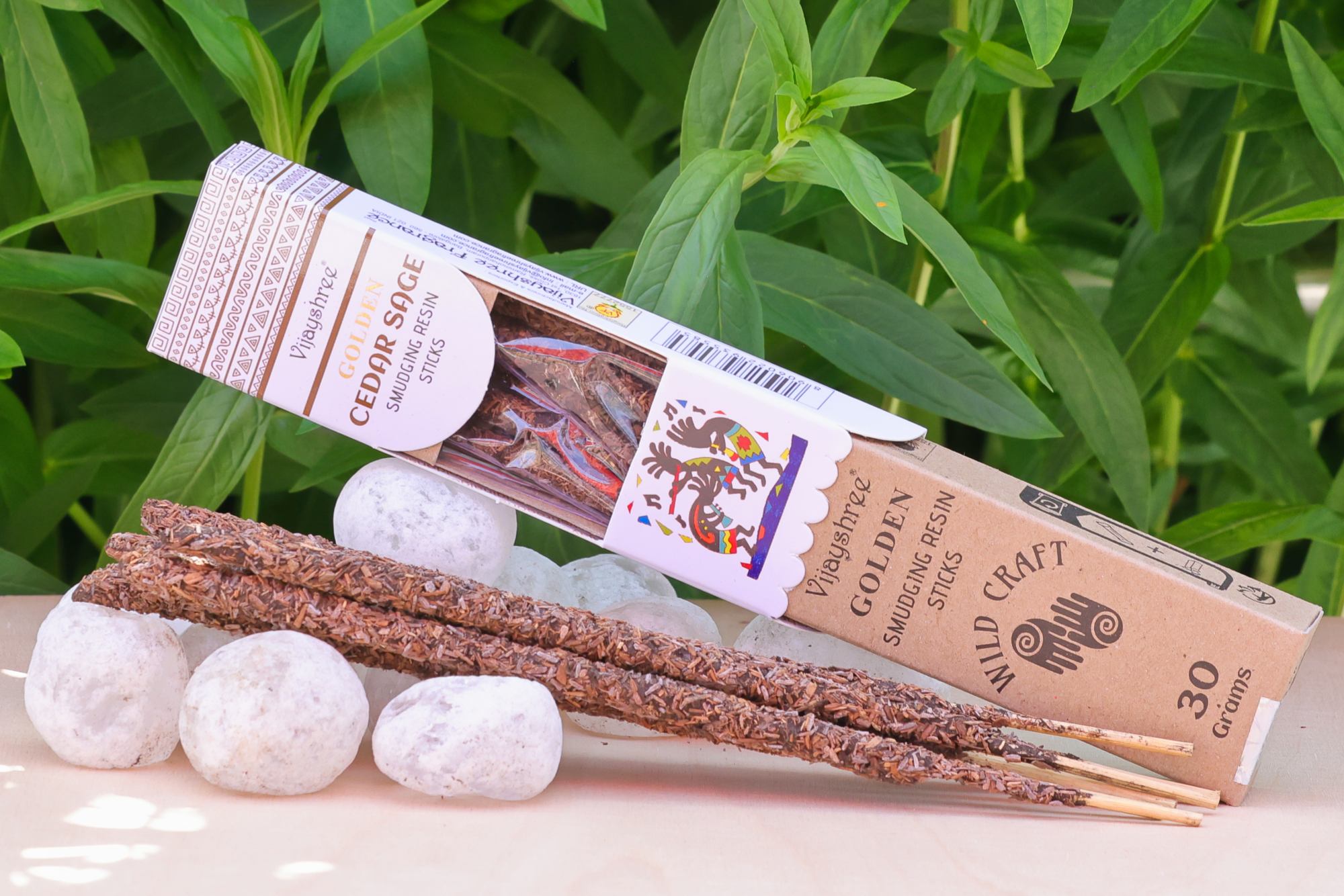 Golden_Cedar_Sage_2.jpg