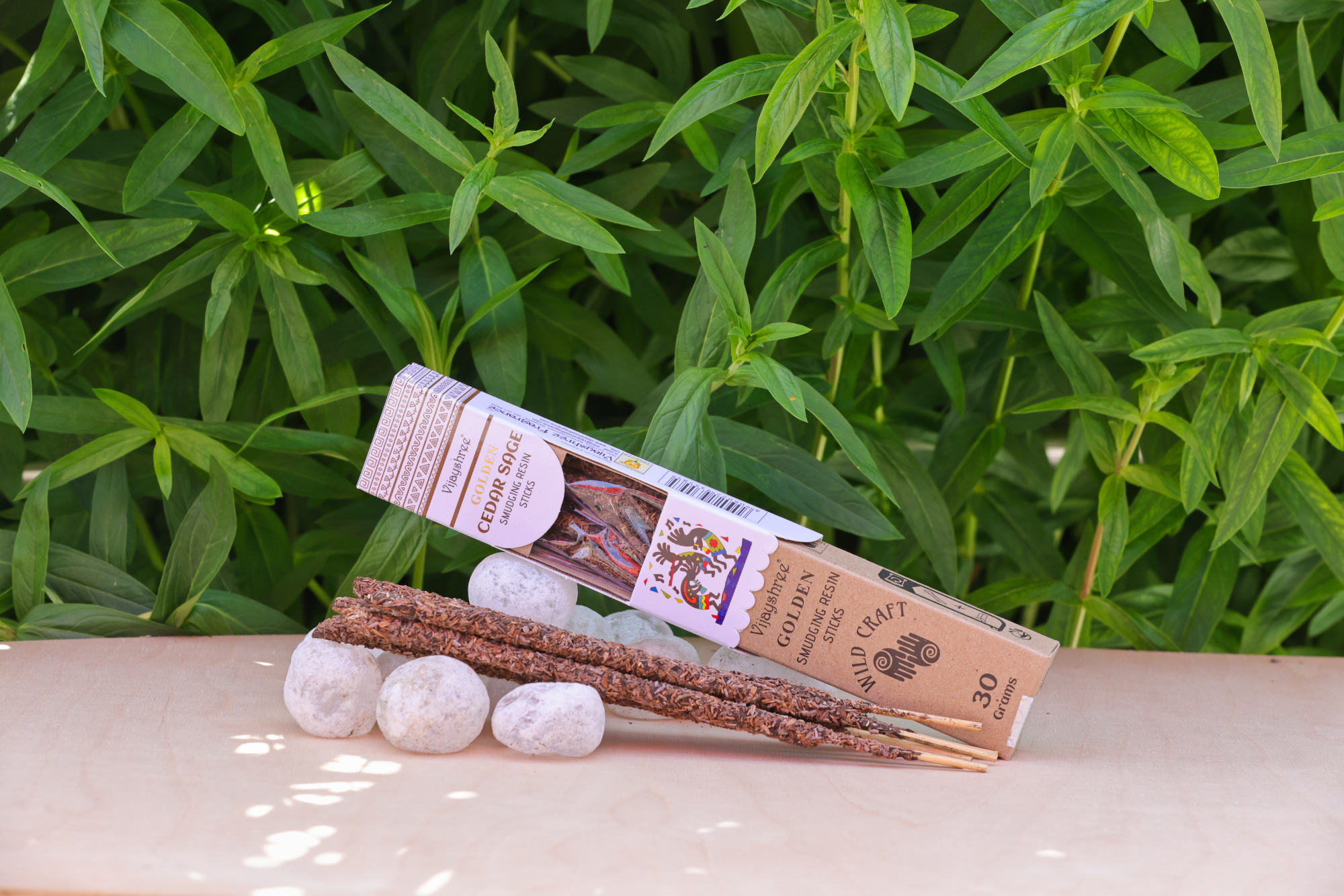 Golden_Cedar_Sage.jpg